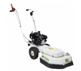 Desherbeur Etesia MBR50